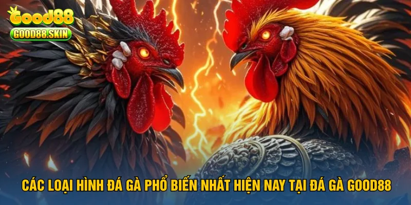 cac-loai-hinh-da-ga-pho-bien-nhat-hien-nay-tai-da-ga-good88