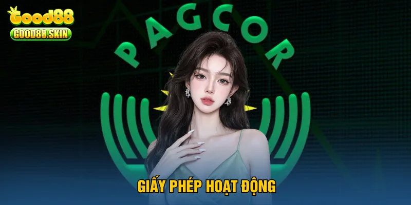 giay-phep-hoat-dong