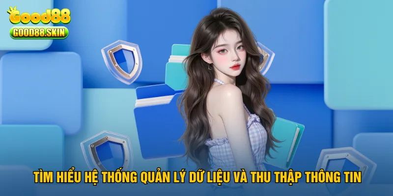 tim-hieu-he-thong-quan-ly-du-lieu-va-thu-thap-thong-tin